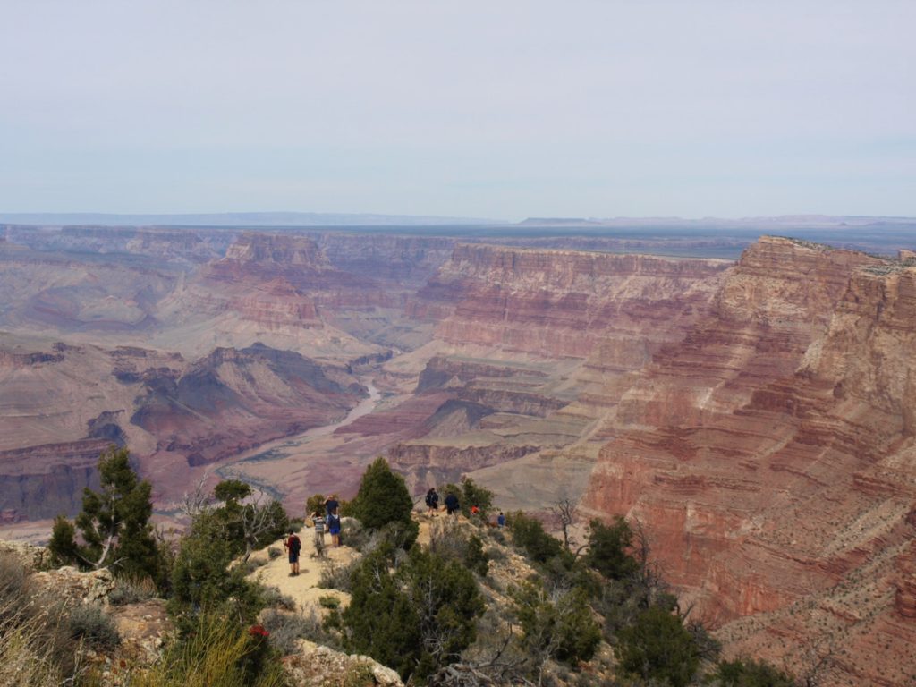 arizona