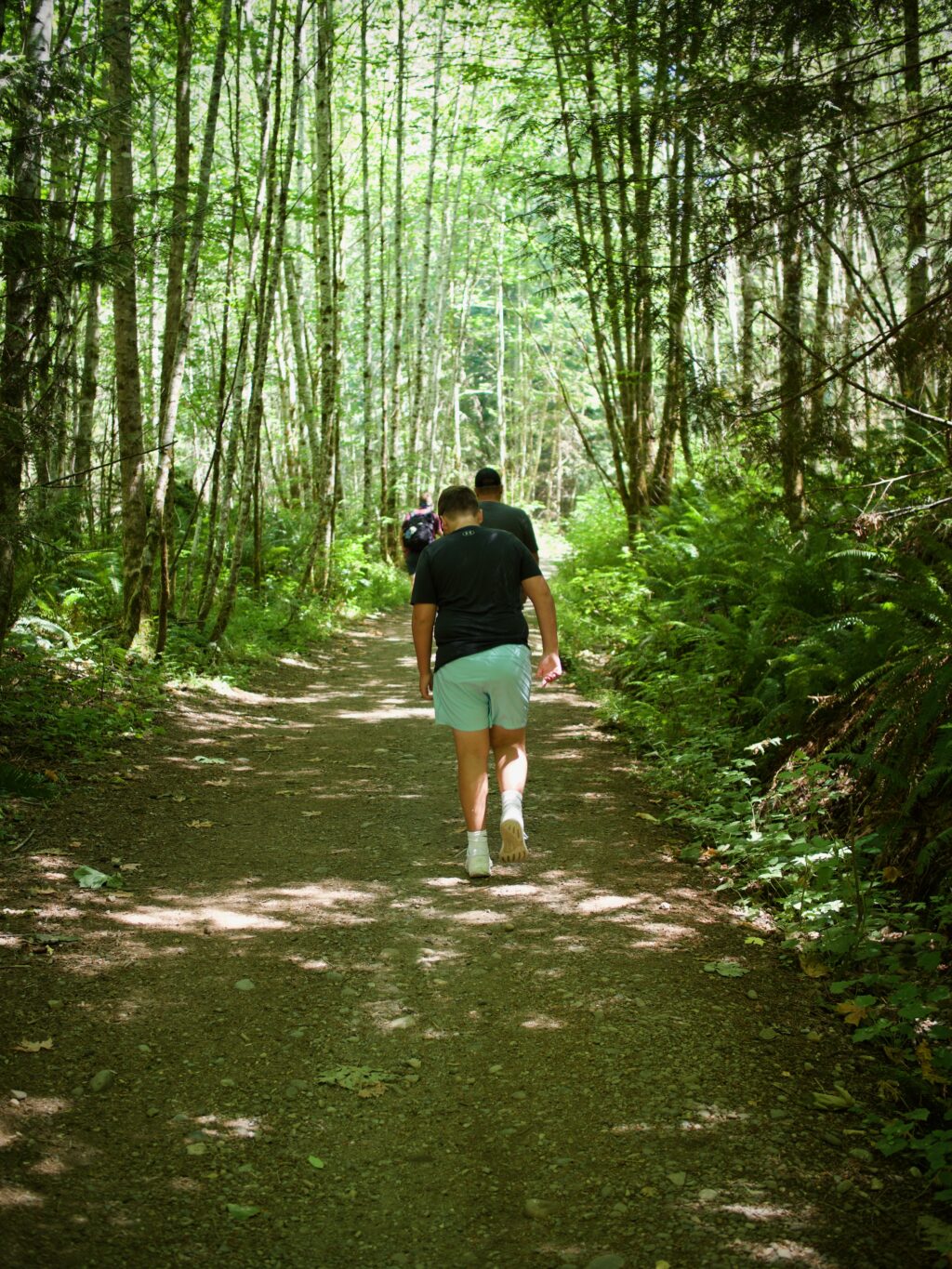 Gold Creek trail